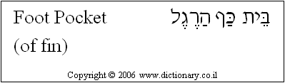 'Foot Pocket (of Fin)' in Hebrew