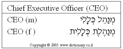 'CEO' in Hebrew
