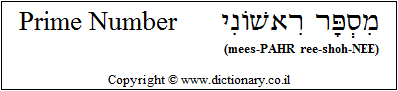 'Prime Number' in Hebrew