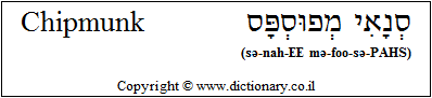 'Chipmunk' in Hebrew