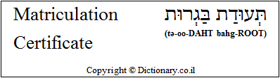 'Matriculation Certificate' in Hebrew