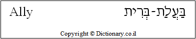 'Ally' in Hebrew