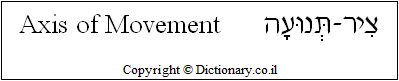 'Axis of Movement' in Hebrew
