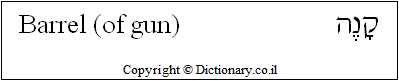 'Barrel (of Gun)' in Hebrew