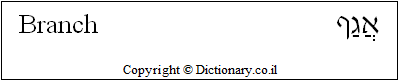 'Branch' in Hebrew