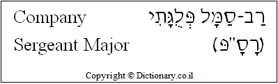 'Company Sergeant Major' in Hebrew