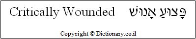 'Critically Wounded' in Hebrew