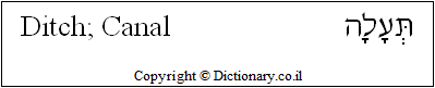 'Ditch' in Hebrew