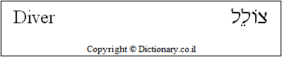 'Diver' in Hebrew