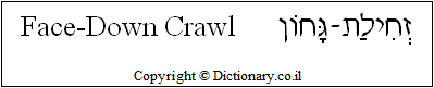 'Face-Down Crawl' in Hebrew