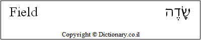'Field' in Hebrew