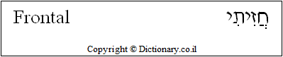 'Frontal' in Hebrew