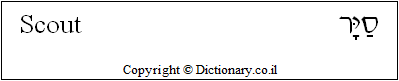 'Scout' in Hebrew