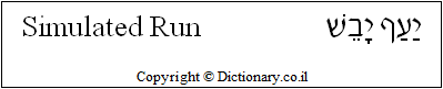 'Simulated Run' in Hebrew