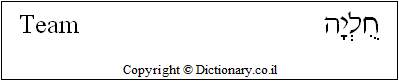 'Team' in Hebrew