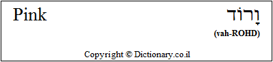 'Pink' in Hebrew