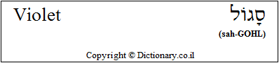 'Violet' in Hebrew