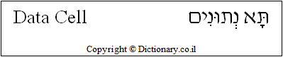 'Data Cell' in Hebrew