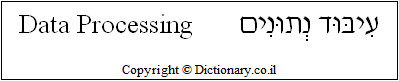 'Data Processing' in Hebrew