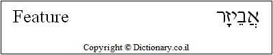 'Feature' in Hebrew