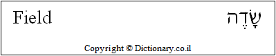 'Field' in Hebrew