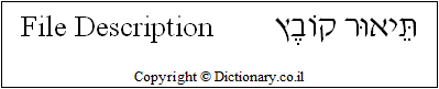 'File Description' in Hebrew