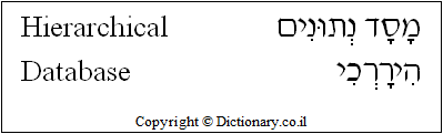'Hierarchical Database' in Hebrew