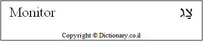 'Monitor' in Hebrew