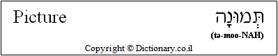 'Picture' in Hebrew