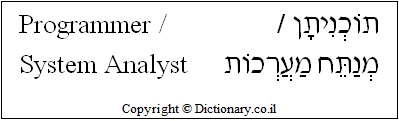 'Programmer / System Analyst' in Hebrew