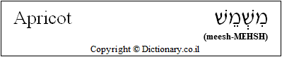 'Apricot' in Hebrew