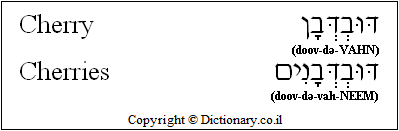 'Cherry' in Hebrew