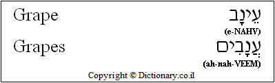 'Grape' in Hebrew