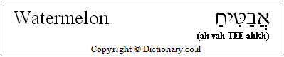 'Watermelon' in Hebrew