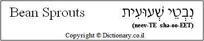 'Bean Sprouts' in Hebrew