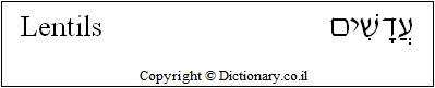 'Lentils' in Hebrew