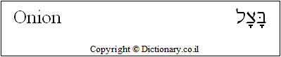 'Onion' in Hebrew