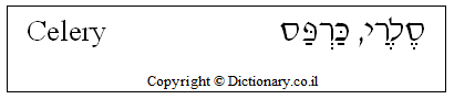 'Celery' in Hebrew