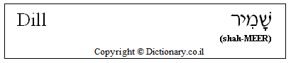 'Dill' in Hebrew