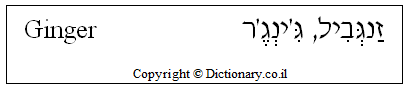 'Ginger' in Hebrew