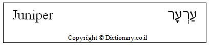 'Juniper' in Hebrew