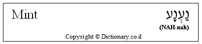 'Mint' in Hebrew