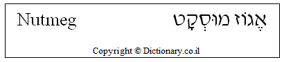 'Nutmeg' in Hebrew