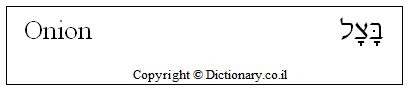 'Onion' in Hebrew