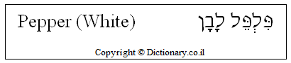 'Pepper (White)' in Hebrew