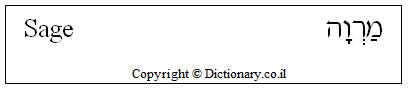 'Sage' in Hebrew