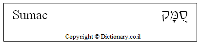 'Sumac' in Hebrew