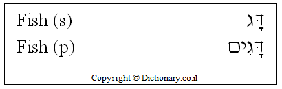 'Fish' in Hebrew