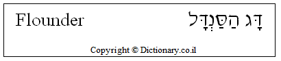 'Flounder' in Hebrew