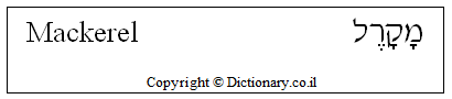 'Mackerel' in Hebrew